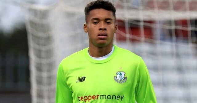 Gavin Bazunu