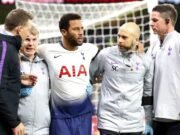 Mousa Dembele: Injury update Moussa Demele Wolverhampton Wanderers v Tottenham Hotspur Premier League 5be0aff9d