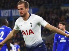 Harry Kane Sets Astonishing New Record With Latest Goal for Tottenham Against Cardiff City harry kane tottenham hotspur Cardiff city