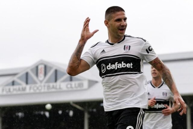 Aleksandar Mitrovic Fulham Tottenham Hotspur