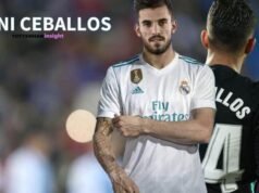 Can this Real Madrid pawn turn out to the fortunes of Spurs? dani_cabellos_wallpaper_hd