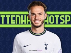 James Maddison to Tottenham Hotspur – Here We Go Tottenham Spurs Targeting James Maddison